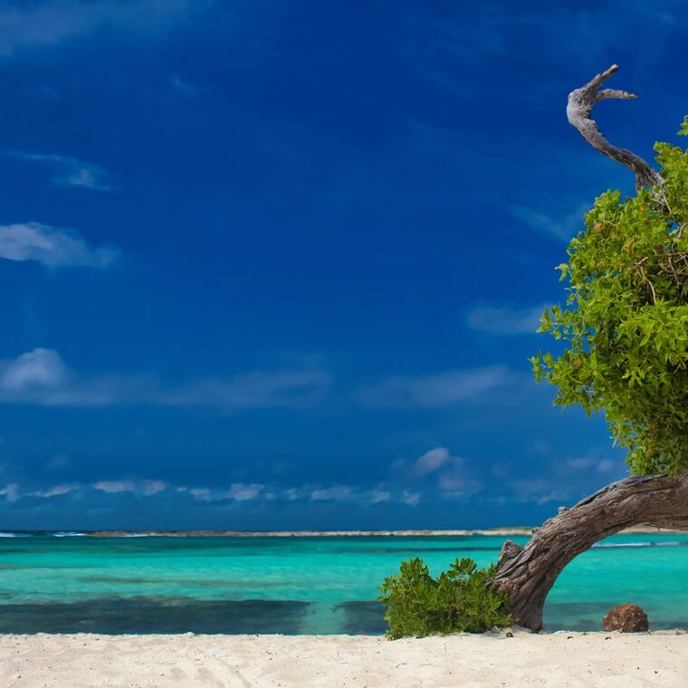 Island stillness, Aruba
