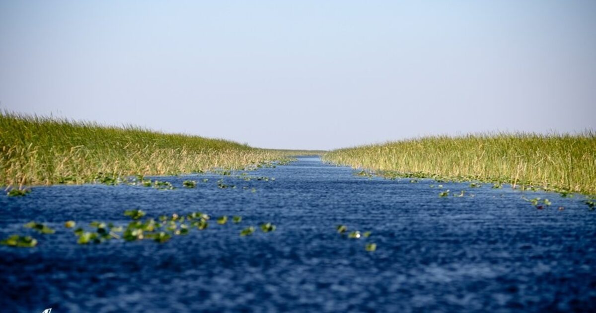 A straight open water channel running through Everglades sawgrass to the horizon
